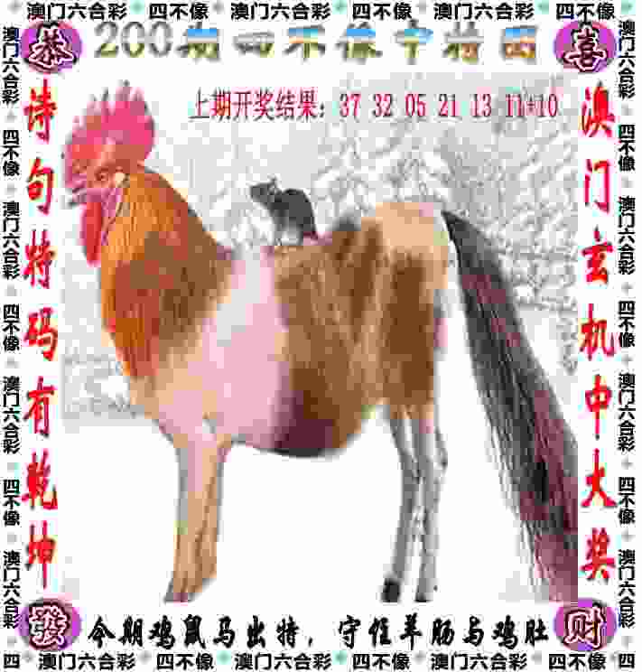 中国泳协公布跳水项目奥运会等选拔办法